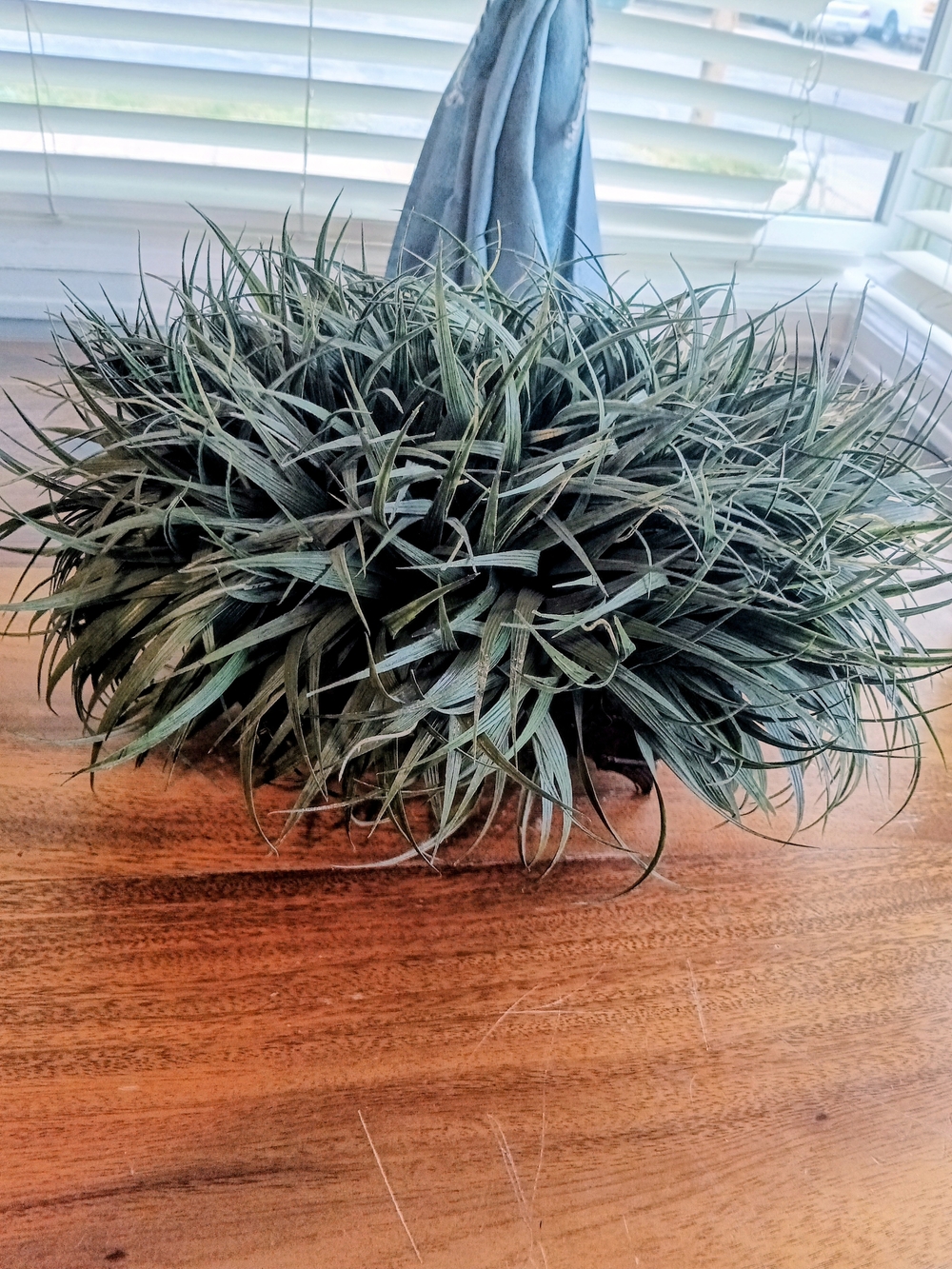 Artificial Grass Accent Plant in Green - Decorative Home Accent